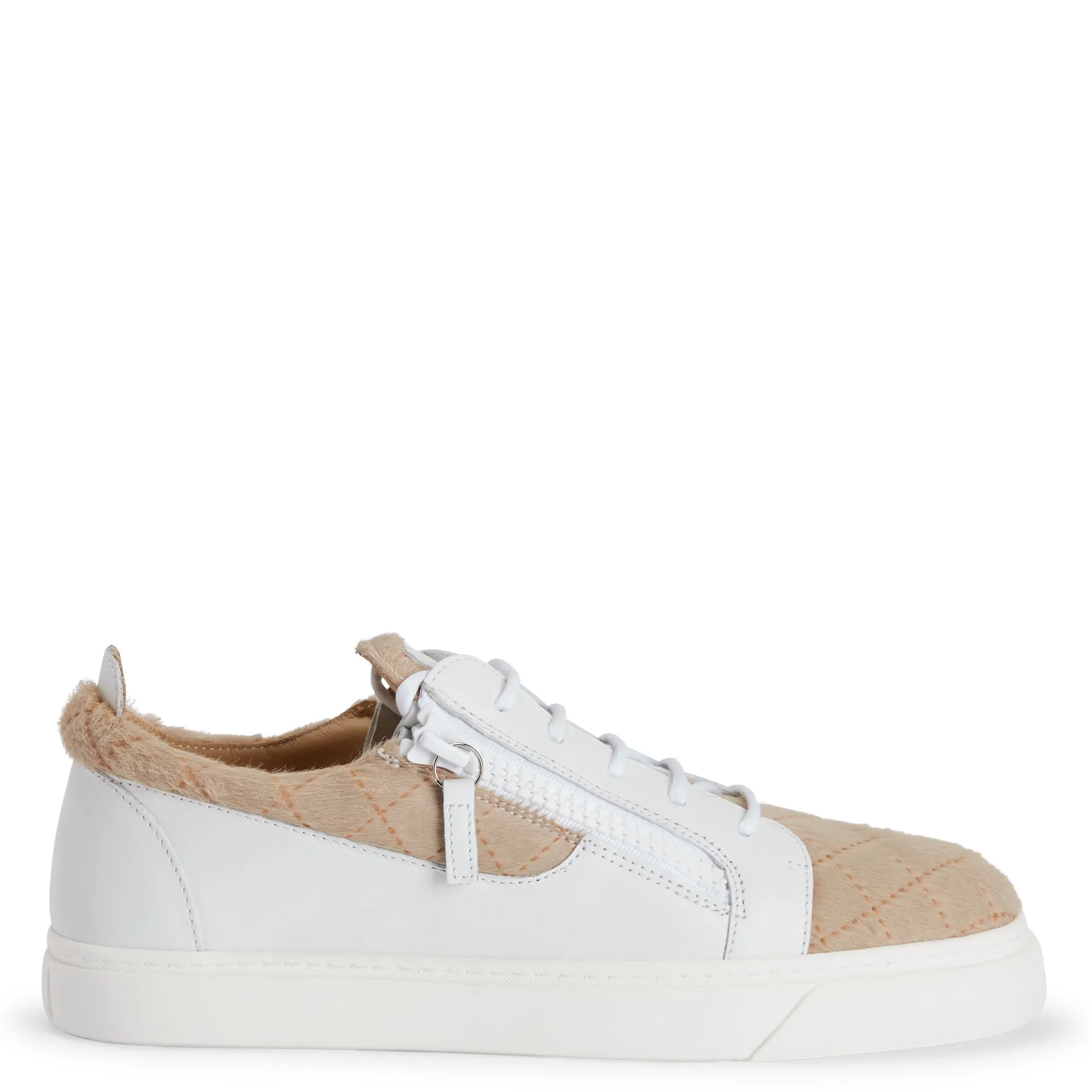 Giuseppe Zanotti Frankie