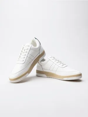 Mens Fashion Sneakers